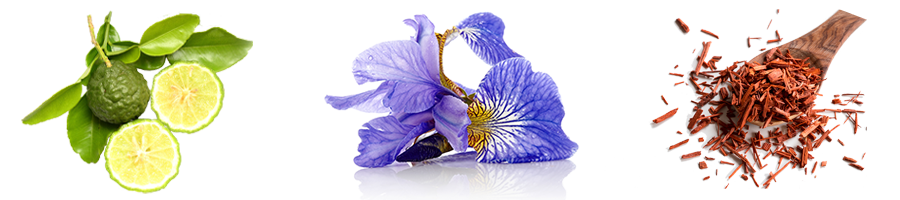 bergamotte iris santal
